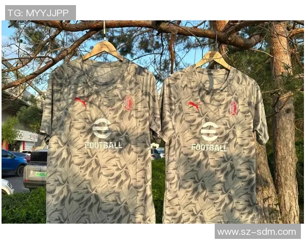 体育博彩赞助球队球衣与场馆冠名引发的道德与法律双重争议